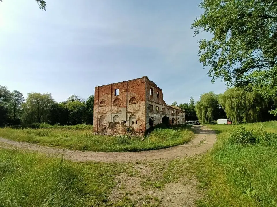 Zdjęcie 20