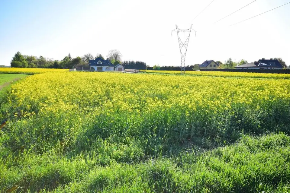 Działka budowlana 1 146 m², Radawiec Mały