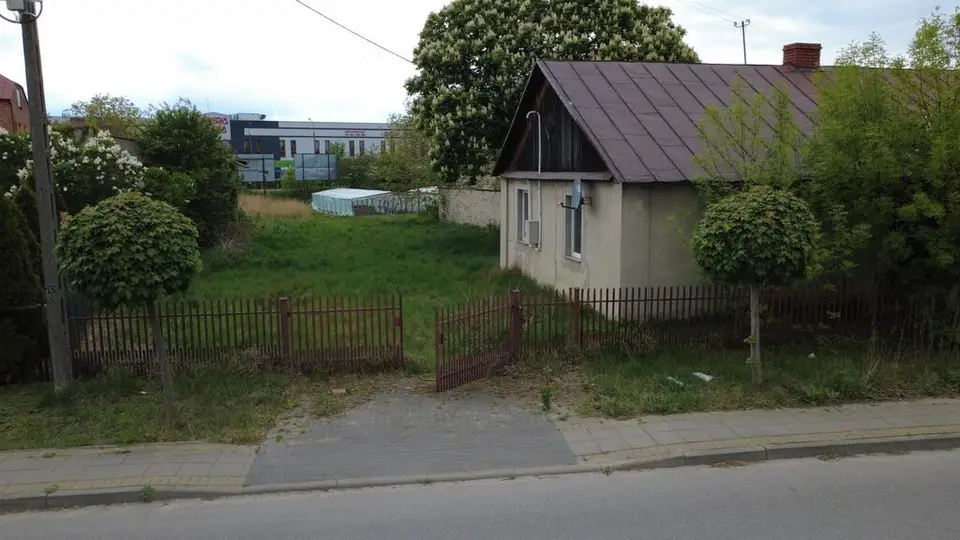 Zdjęcie 8