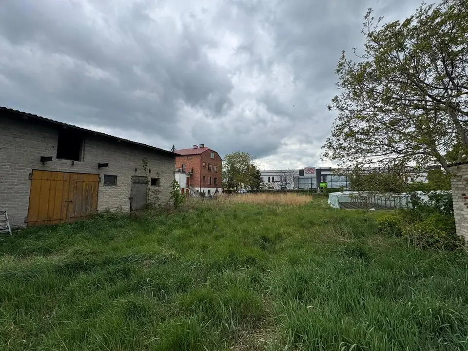 Zdjęcie 10
