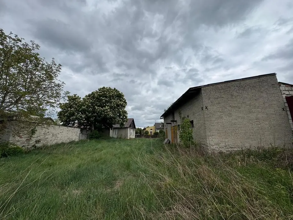 Zdjęcie 11