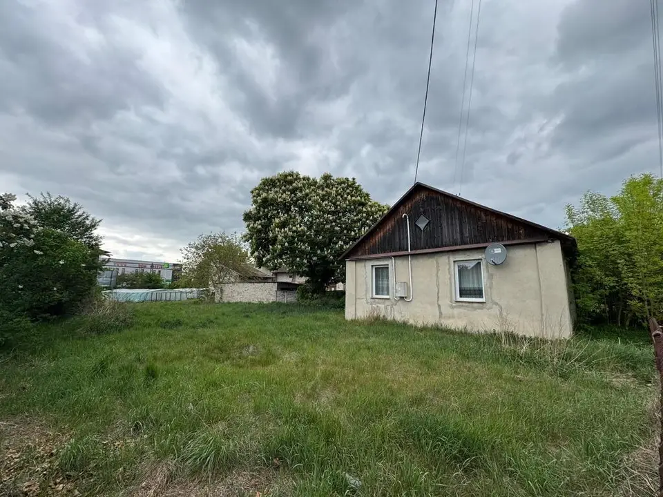 Zdjęcie 12