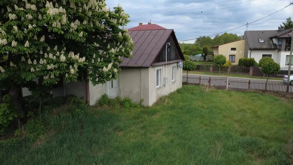 Zdjęcie 15