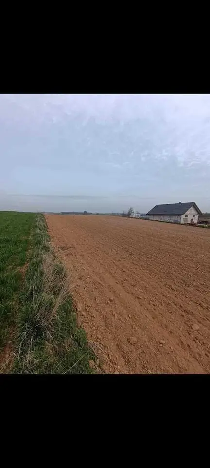 Zdjęcie 5