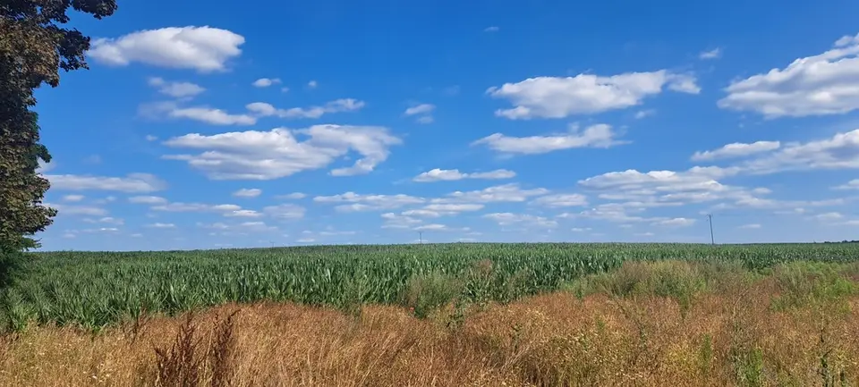 Zdjęcie 2