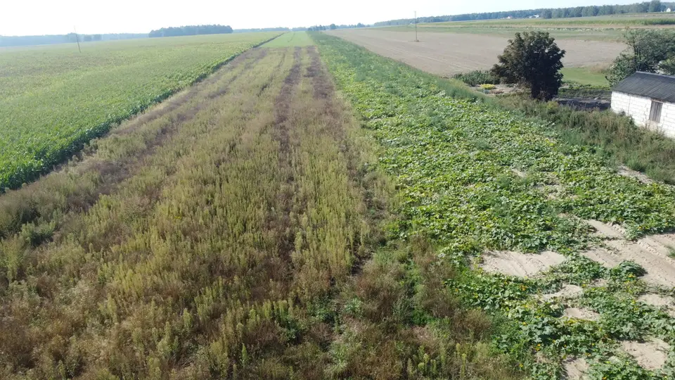 Zdjęcie 5