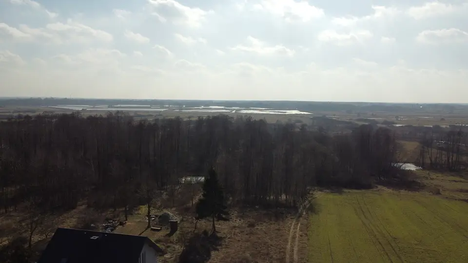 Zdjęcie 4