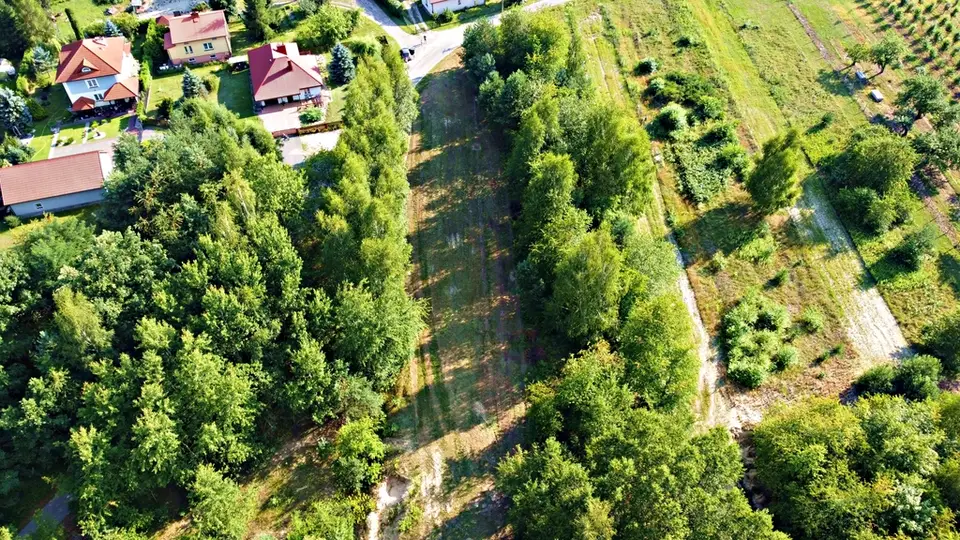 Zdjęcie 2
