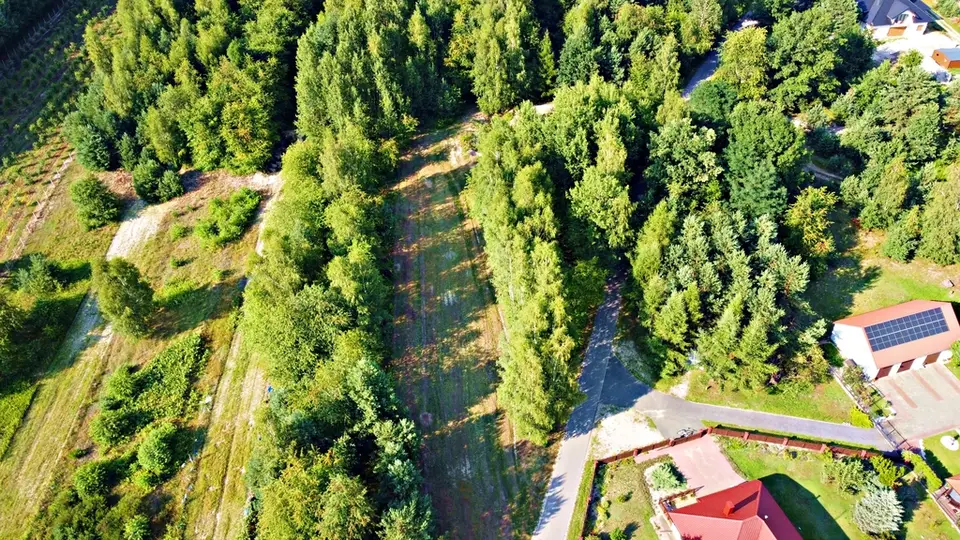 Zdjęcie 6