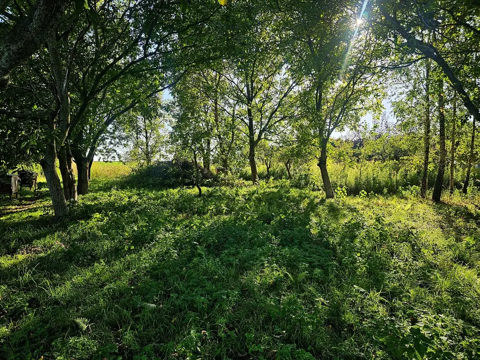 Zdjęcie 3