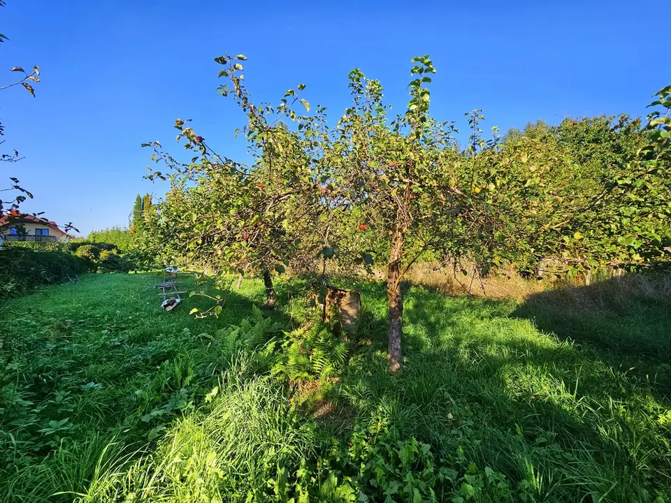 Zdjęcie 4