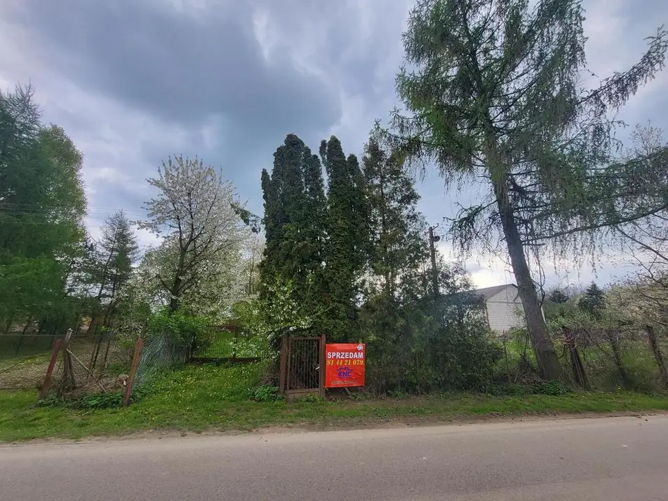 Zdjęcie 5