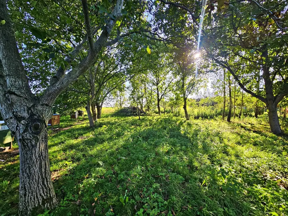 Zdjęcie 10