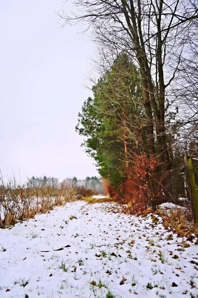 Zdjęcie 5