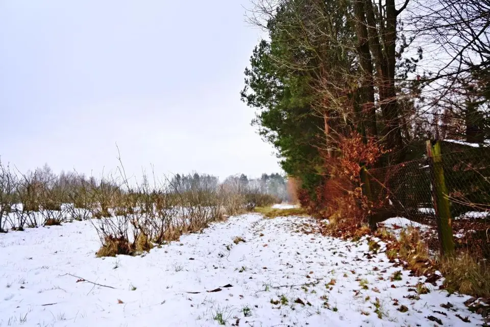 Zdjęcie 6