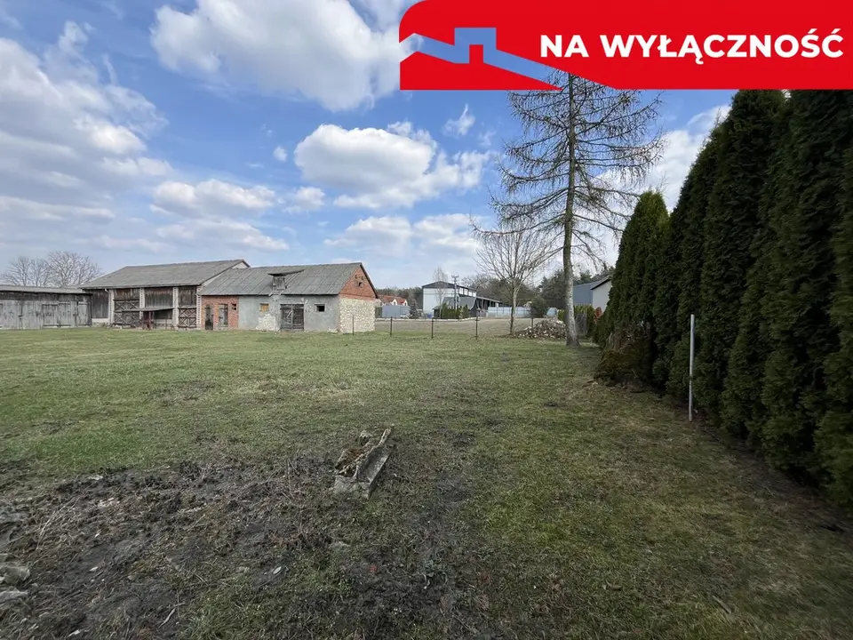 Zdjęcie 3