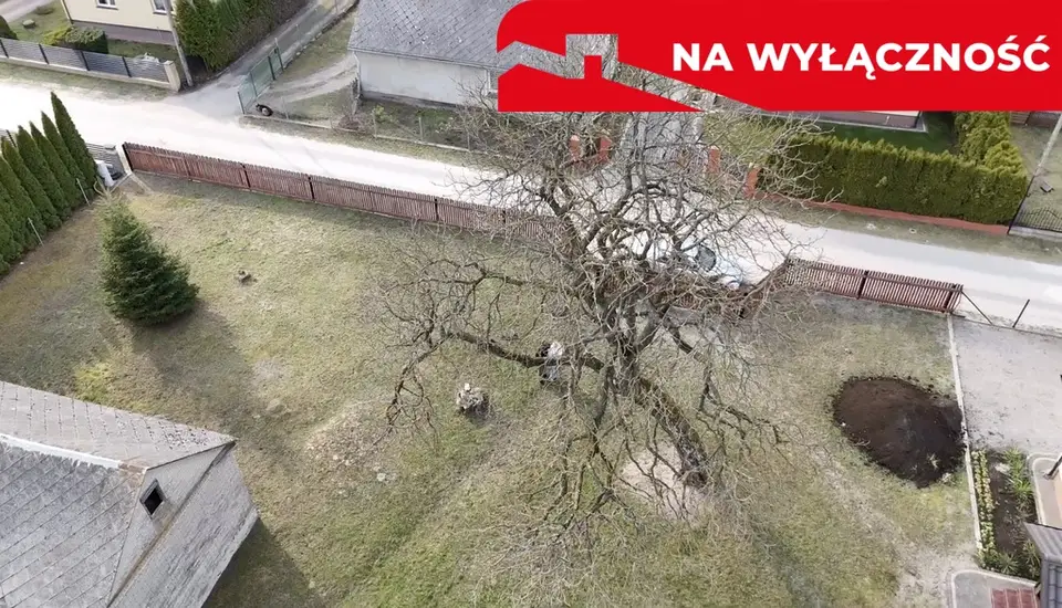 Zdjęcie 4
