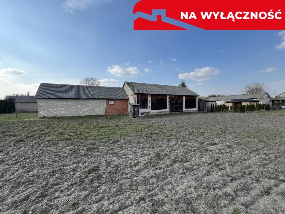 Zdjęcie 5