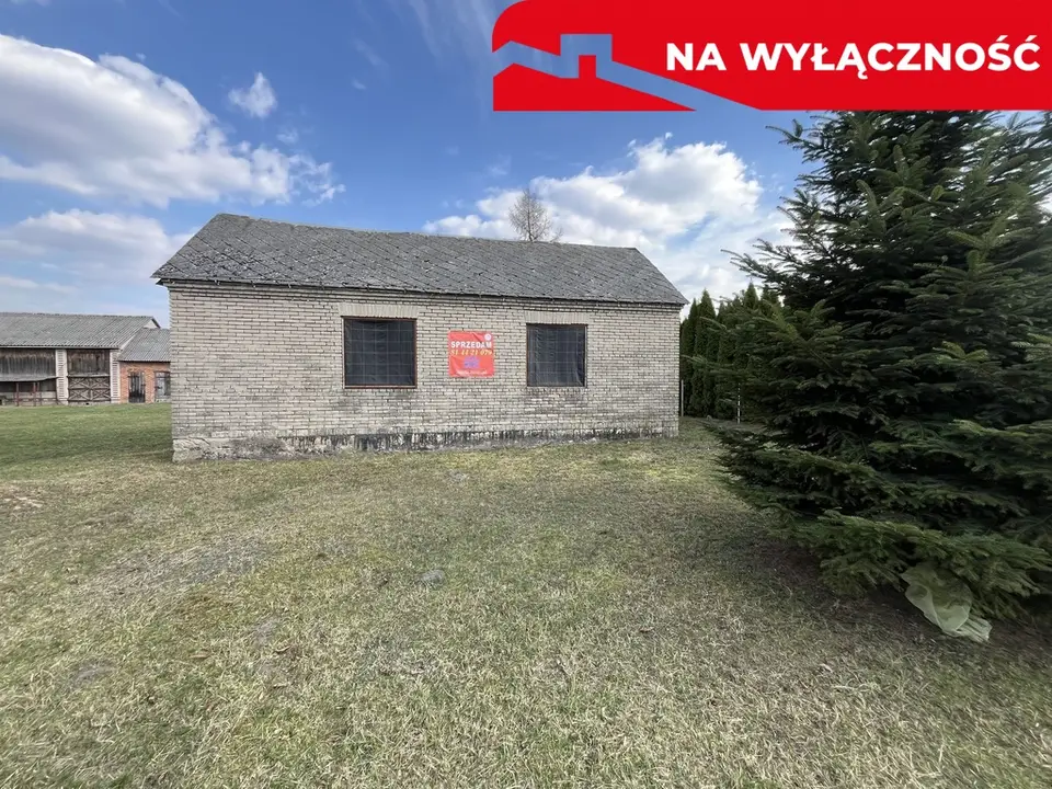 Zdjęcie 6