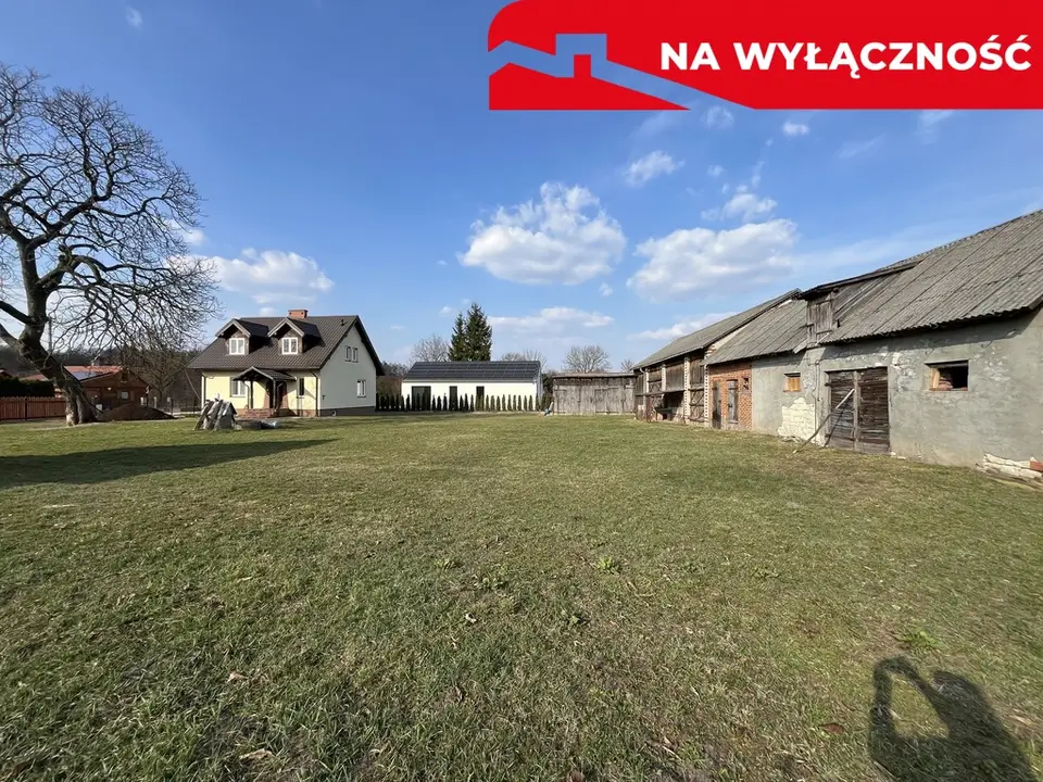 Zdjęcie 7