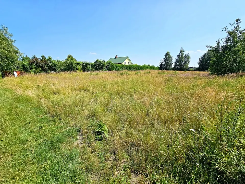 Zdjęcie 6