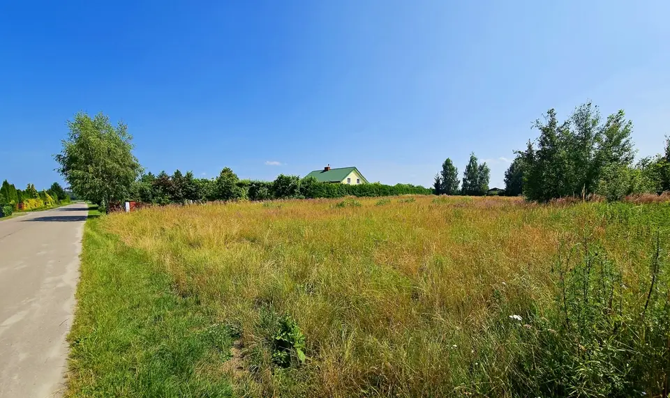 Zdjęcie 8