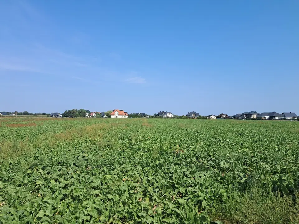 Zdjęcie 3