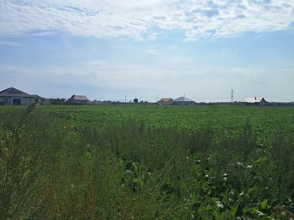 Zdjęcie 5
