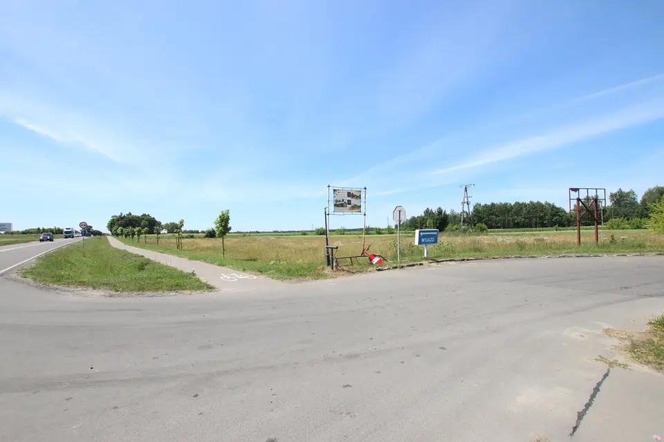 Działka inwestycyjna 5 000 m², Pałecznica-Kolonia