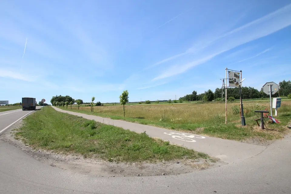 Zdjęcie 12