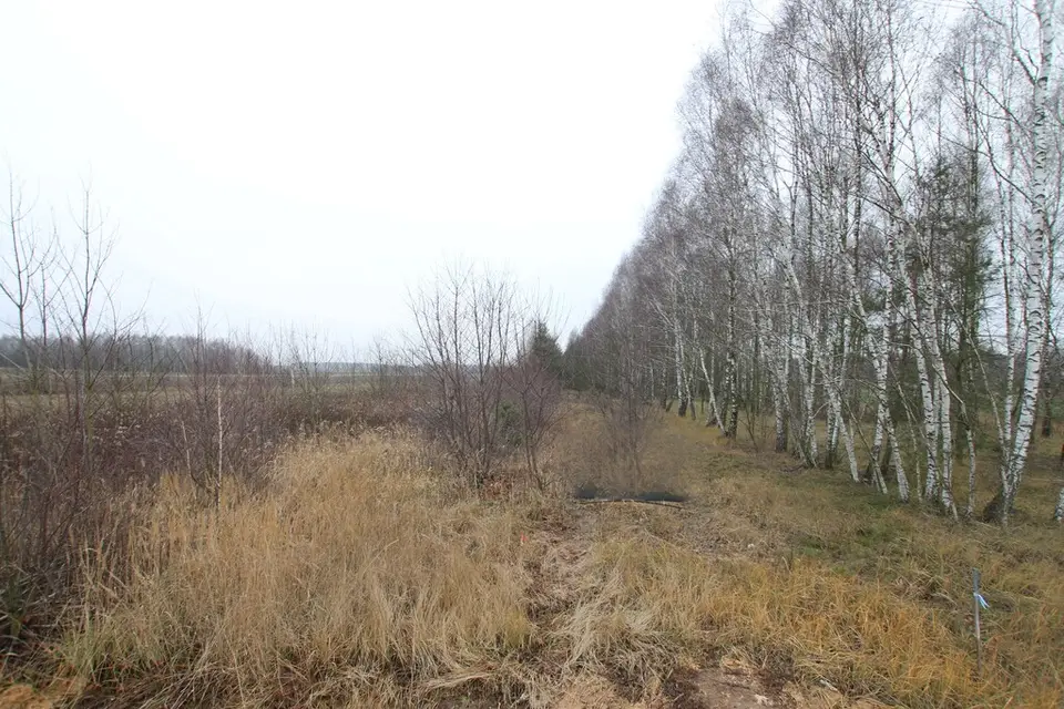Zdjęcie 12