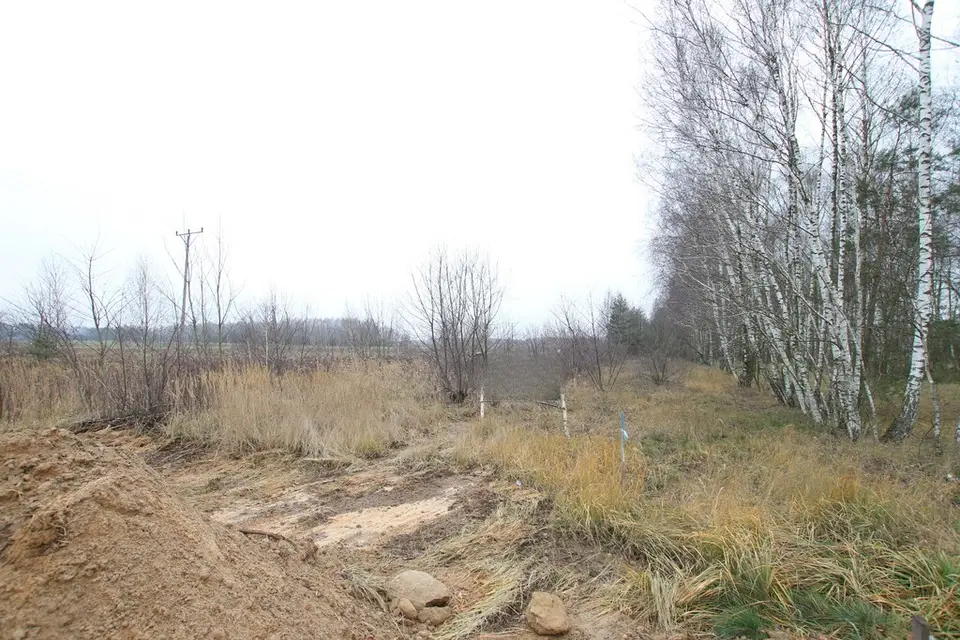 Zdjęcie 13