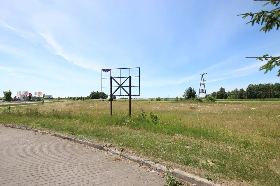 Zdjęcie 8