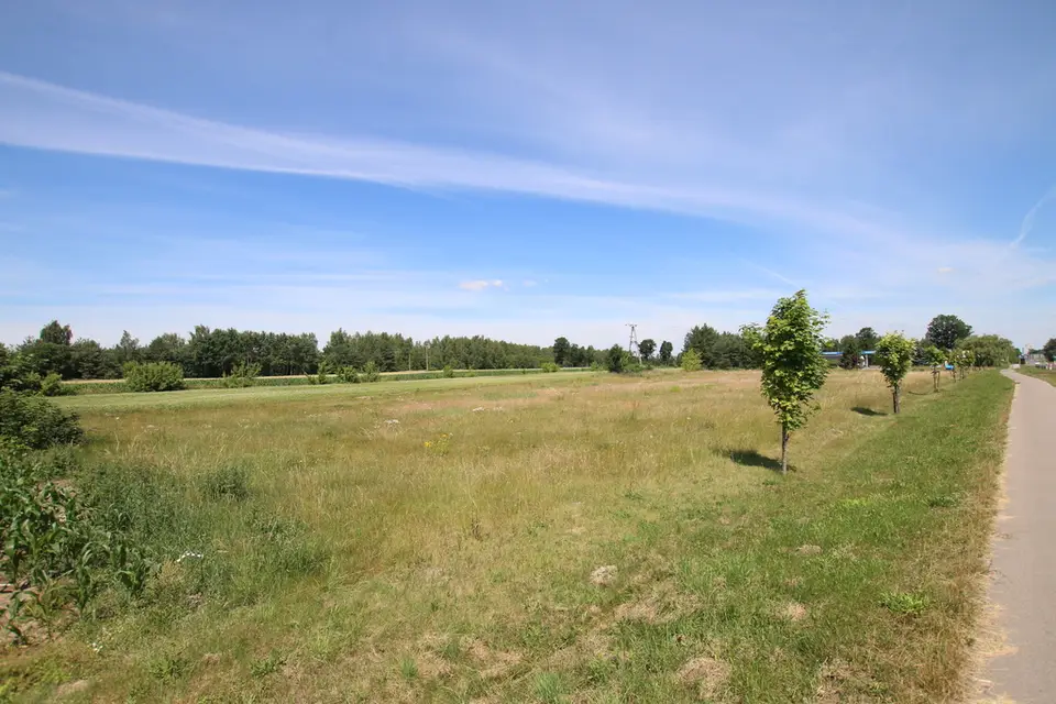 Zdjęcie 11