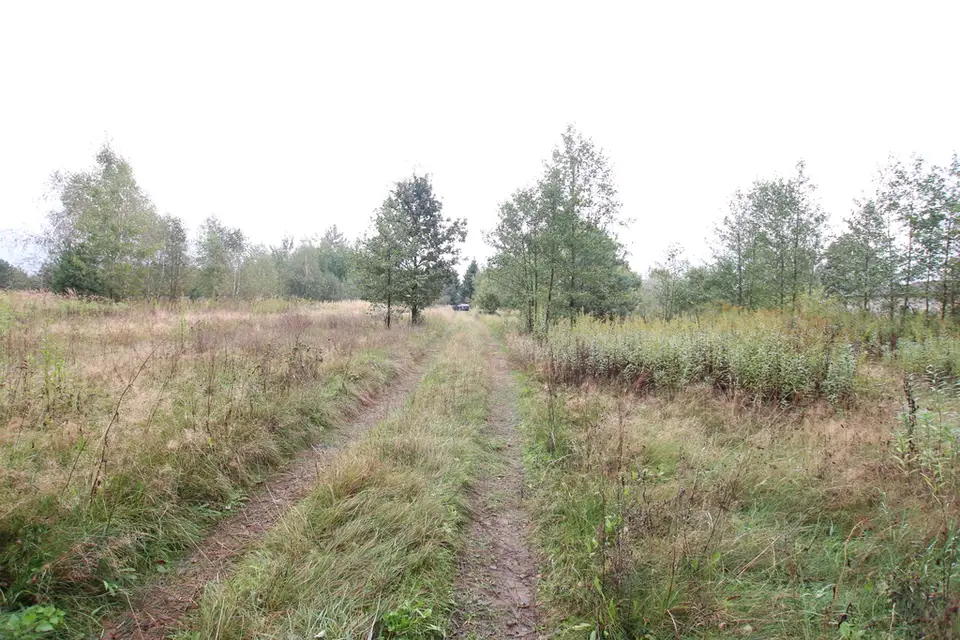 Zdjęcie 8
