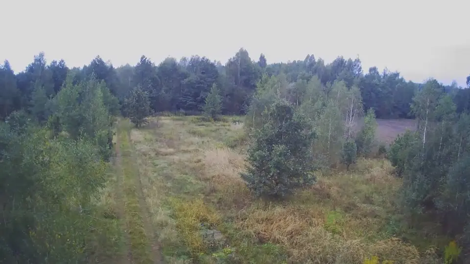 Zdjęcie 15