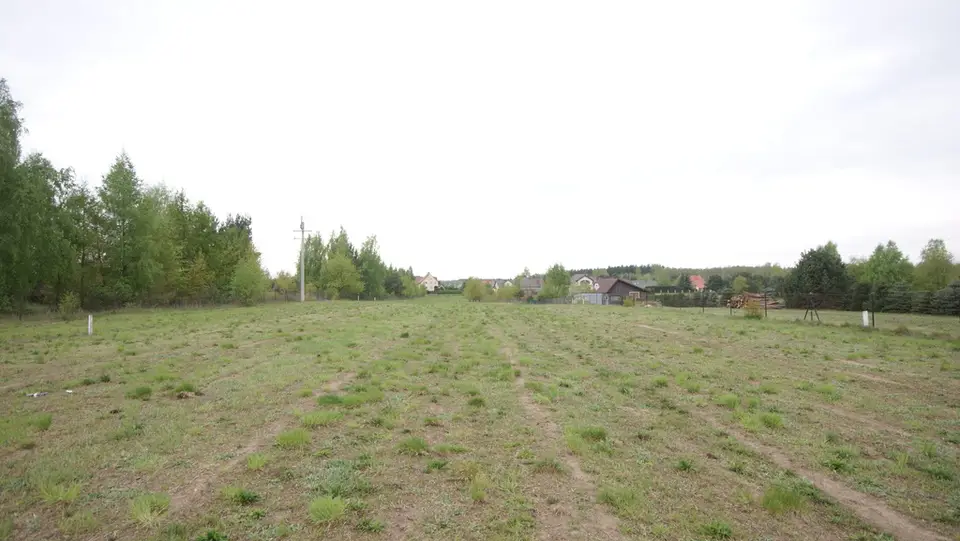 Zdjęcie 3