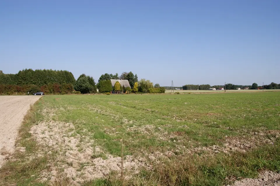 Zdjęcie 11