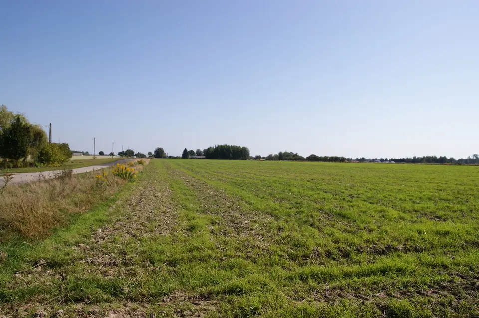 Zdjęcie 12