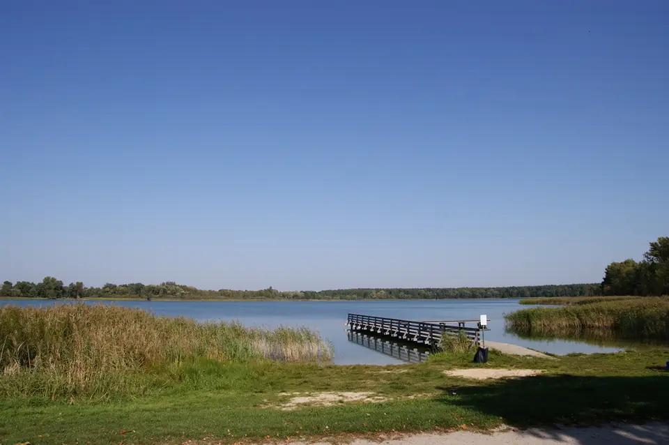 Zdjęcie 18