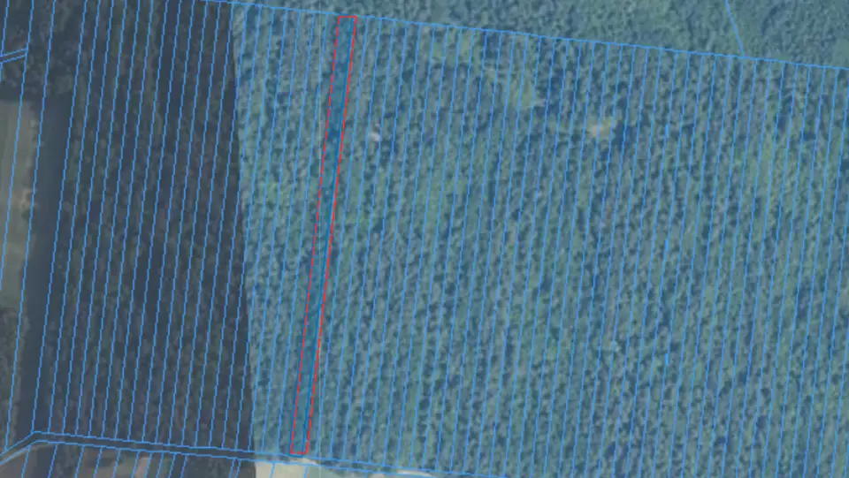 Działka leśna 6 100 m², Spiczyn