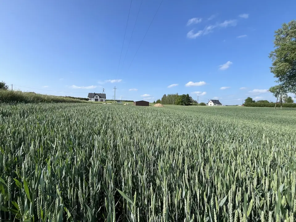 Działka budowlana 1 500 m², Jastków