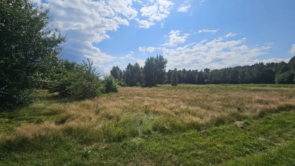 Zdjęcie 3