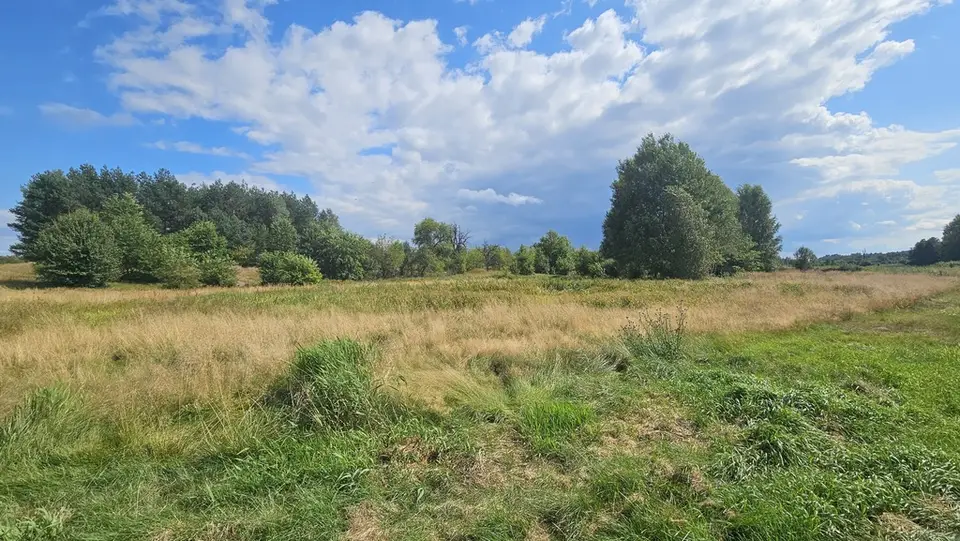 Zdjęcie 4