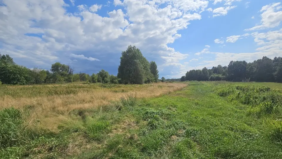 Zdjęcie 5