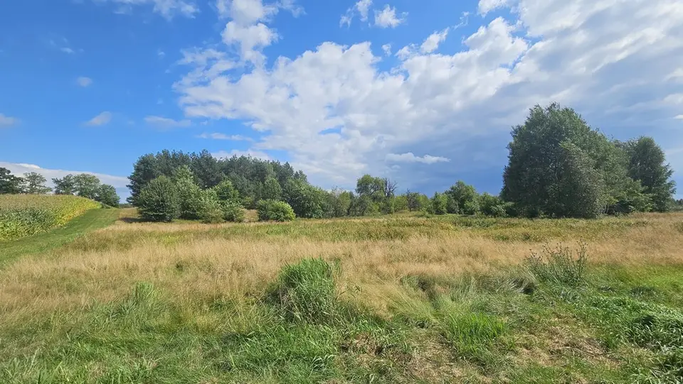 Zdjęcie 6