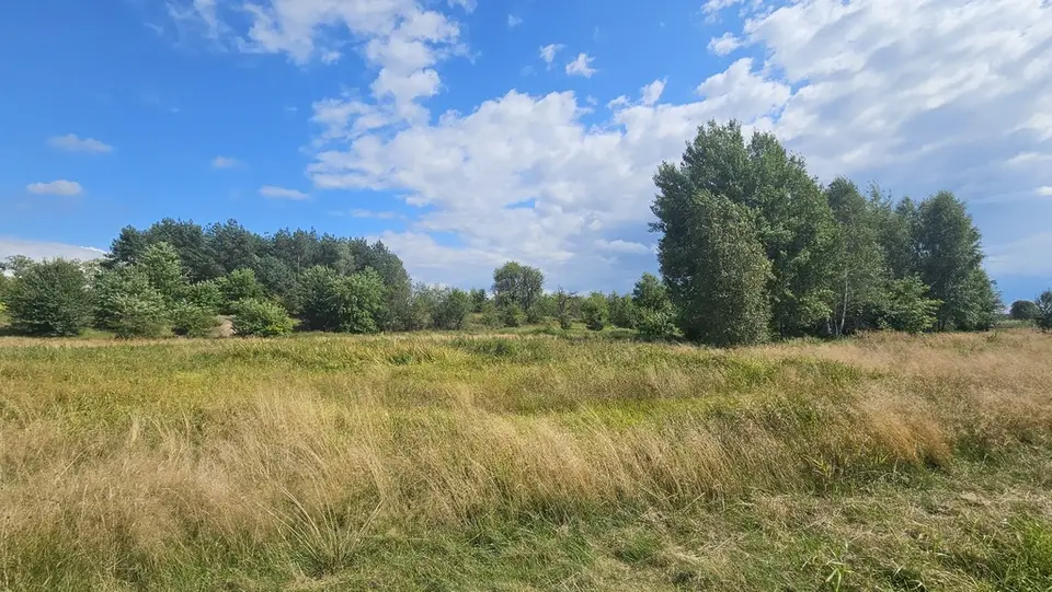 Zdjęcie 7