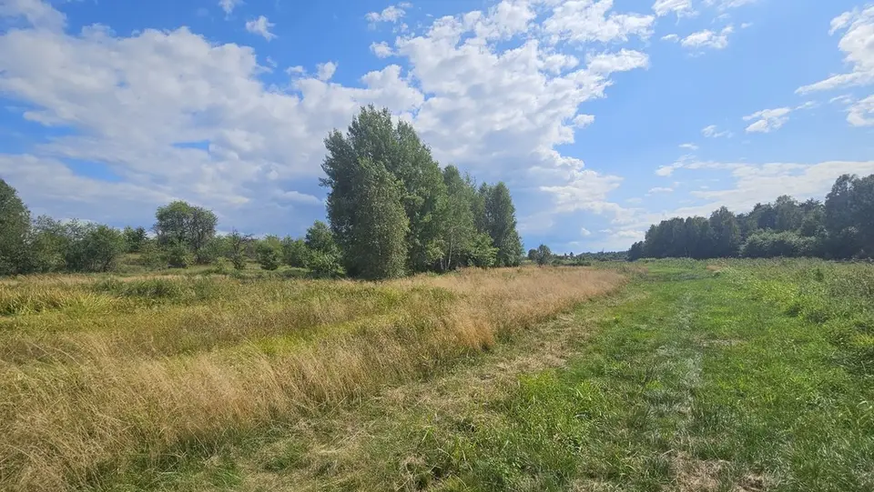 Zdjęcie 8