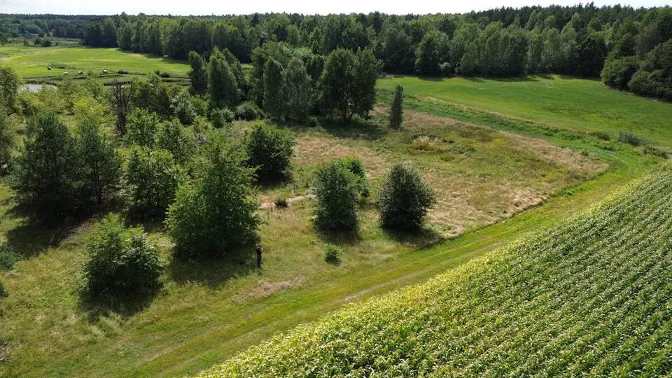 Zdjęcie 17