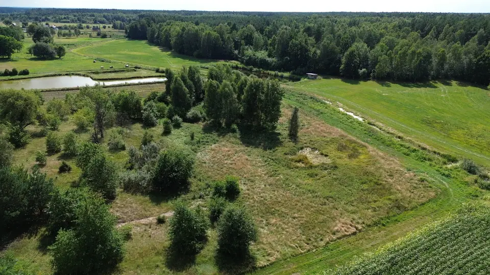 Zdjęcie 20